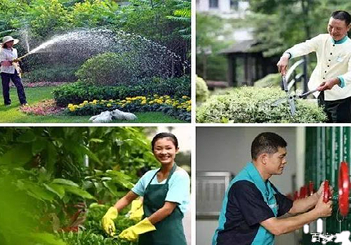 荆门好色先生视频下载污物业管理